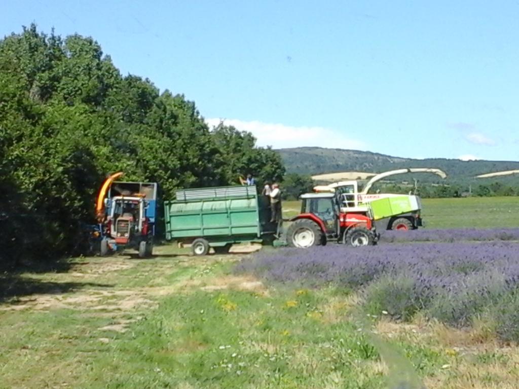 Les Cigales Du Ventoux Holiday home
